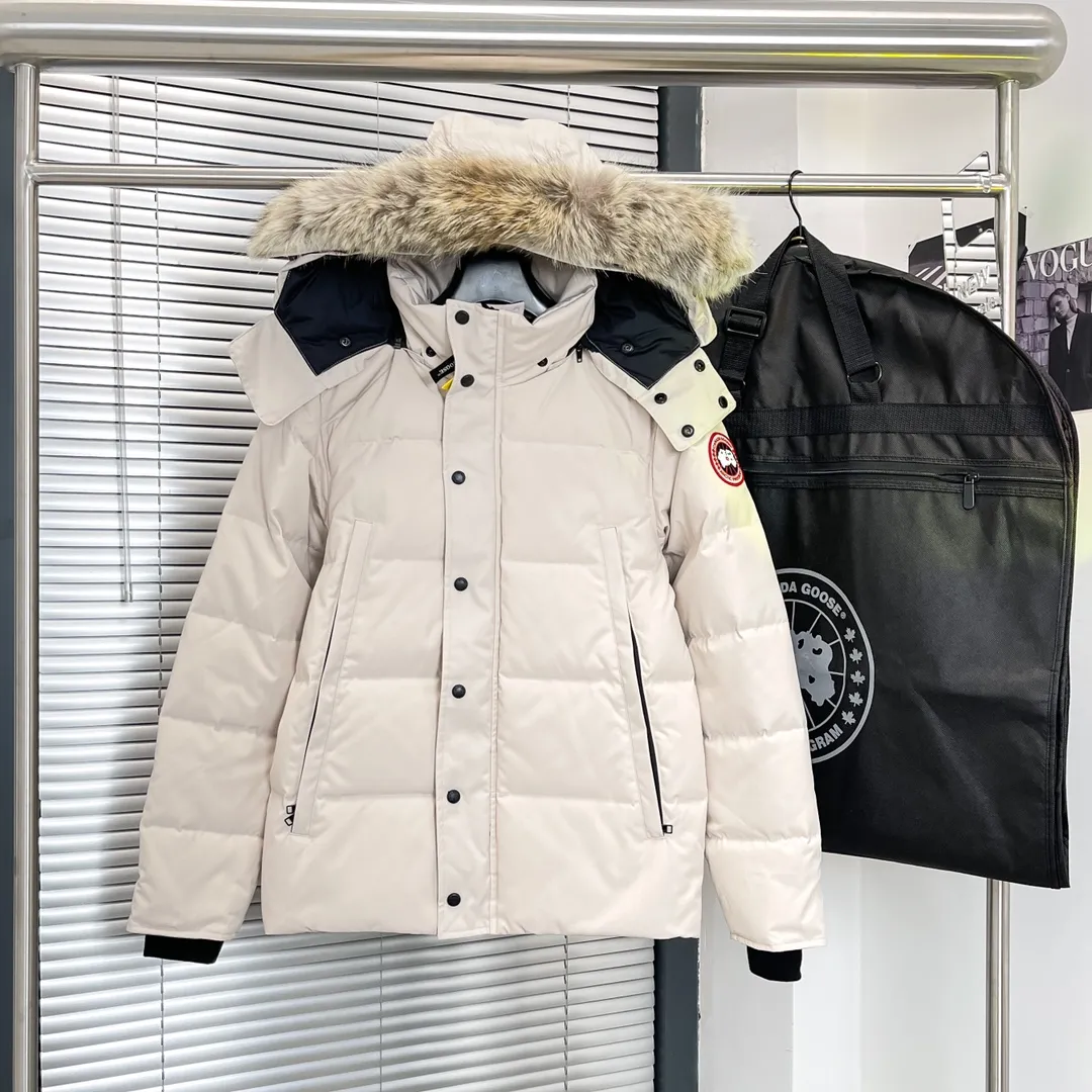 P720 29 models - off-white